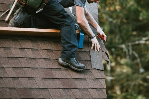 Best Roof Gutter Cleaning  in Shippensburg, PA